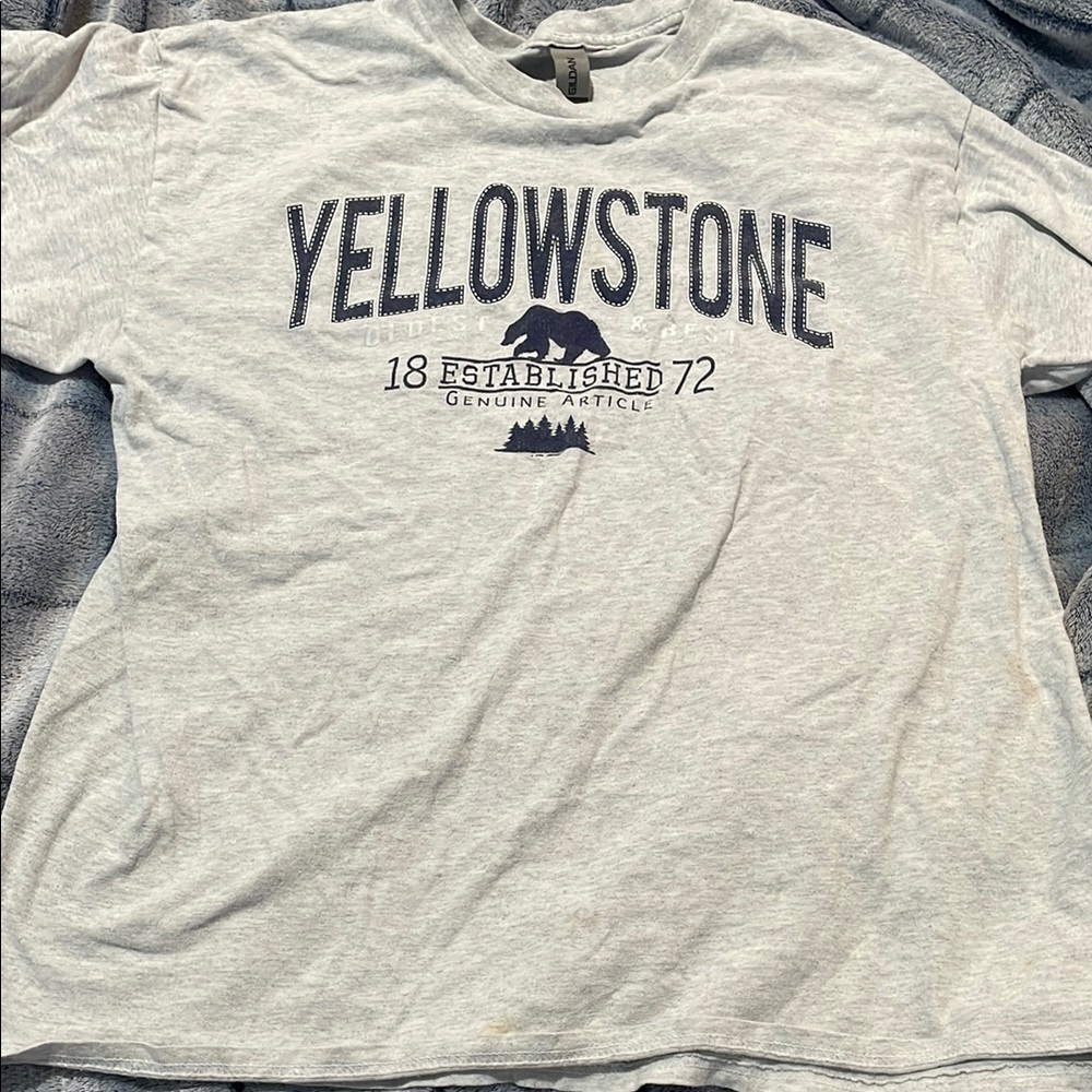 Gildan Gray Yellowstone Graphic Tee